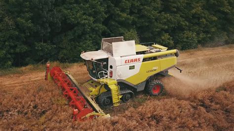 Récolte de colza avec une CLAAS LEXION 750 TERRA TRAC YouTube