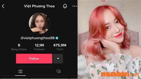 Top 100 TikToker Việt Nam Sở Hữu Nhiều Follow Hot Nhất 2024