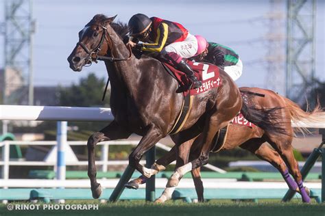 Rinot On Twitter 週末の競馬・撮影分より〜中山競馬場のメインレース、伝統の「第68回 産経賞オールカマー」を制したのは