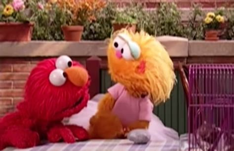 Watch Elmo Goes Off On Rocco Zoe S Pet Rock PRIMETIMER