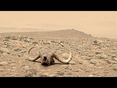 Perseverance Mars Rover Recently Uploaded 4k Video Mars Stunning Video