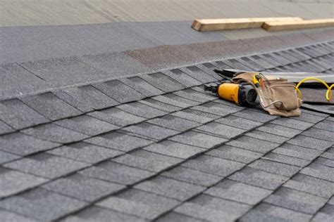 Roofing Maintenance 101 Tips To Extend The Lifespan Of Your Roof Flex House Home