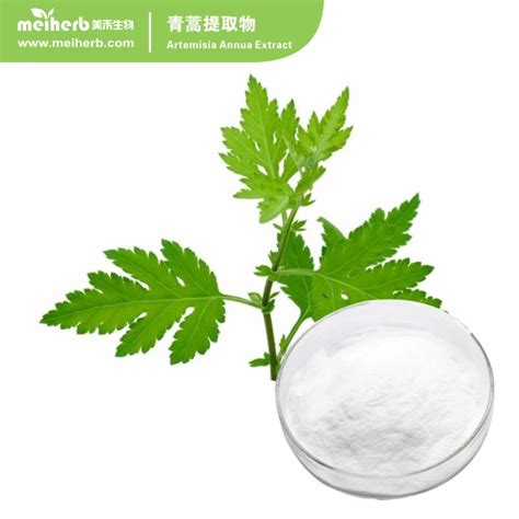 Artemisia Annua Extract-Dongguan MeiHerb Biotech Co., Ltd.,