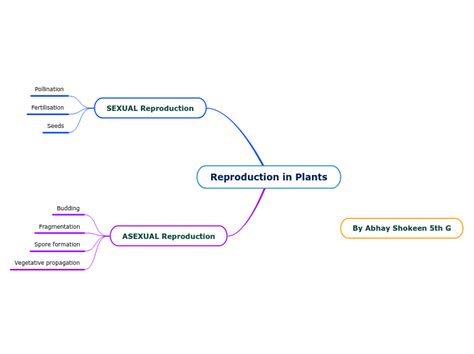 Reproduction In Plants Mind Map