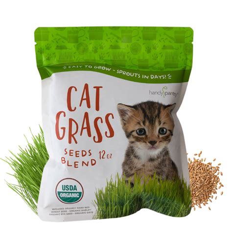 Organic Cat Grass Seed Blend For Planting 12 Oz Handy Pantry Brand A Healthy Mix Of Organic