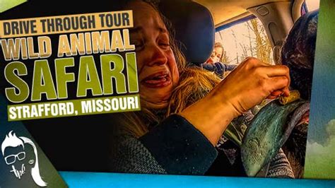 Wild Animal Safari Strafford Mo Drive Through Tour · Tpf Travel Plus