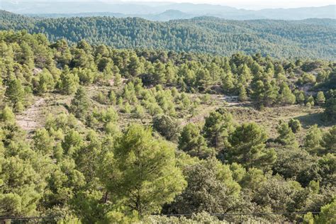 Ruta La Toscana Aragonesa Arag N Slow Driving