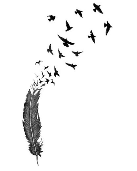 Feather Bird Silhouette at GetDrawings | Free download