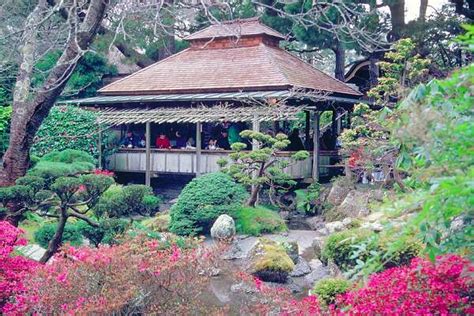 Golden Gate Park Botanical Garden | Fasci Garden