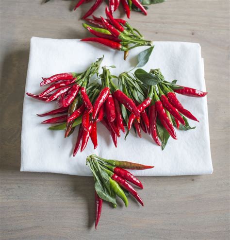 Thai Chili Peppers Chili Pepper Madness