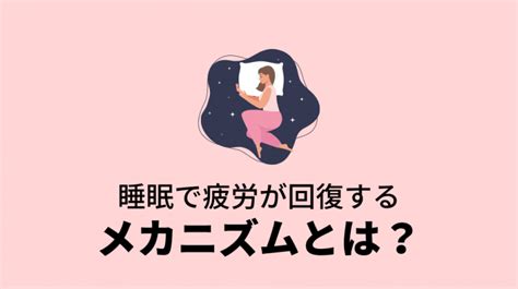 疲労回復に役立つ！睡眠の質を高める「コツ」8選とはbeebody