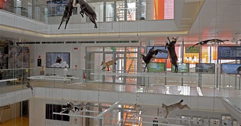 Muse Museo Delle Scienze Projects Goppion