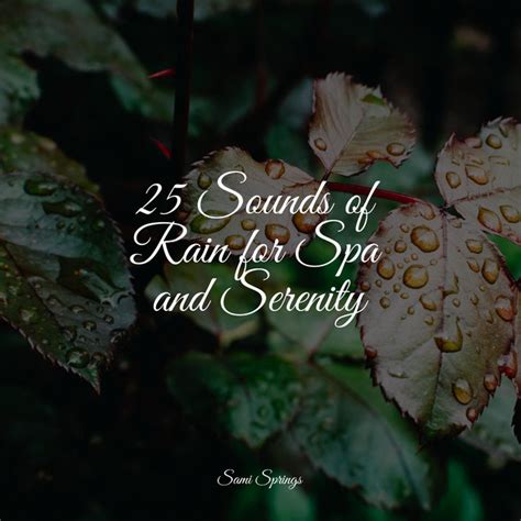 Traffic Rain Song And Lyrics By Natureza Sonidos De Lluvia Para