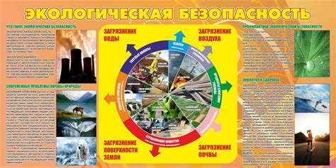 Плакат в среде (45 фото)