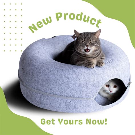 Cattasaurus Peekaboo Cat Cave For Large Cats Multiple Cats Cat Donut