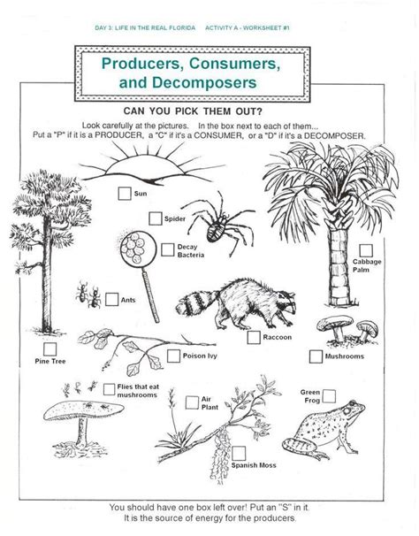 Types Of Ecosystems Worksheets