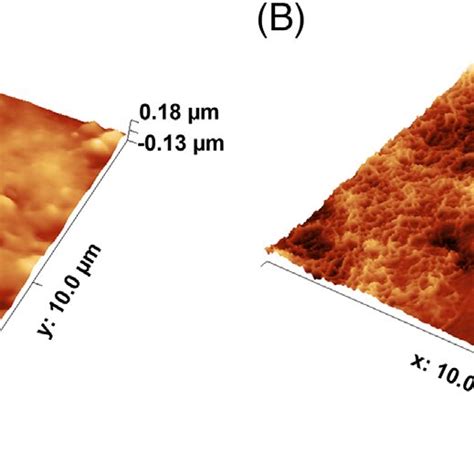 Representative Three Dimensional 3D AFM Topography Images Displaying