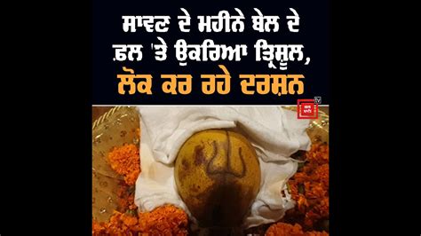 ਸਾਵਣ ਦੇ ਮਹੀਨੇ ਬੇਲ ਦੇ ਫ਼ਲ ਤੇ ਉਕਰਿਆ ਤ੍ਰਿਸ਼ੂਲ ਲੋਕ ਕਰ ਰਹੇ ਦਰਸ਼ਨ Youtube