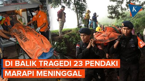 Di Balik Tragedi 23 Pendaki Meninggal Saat Erupsi Gunung Marapi