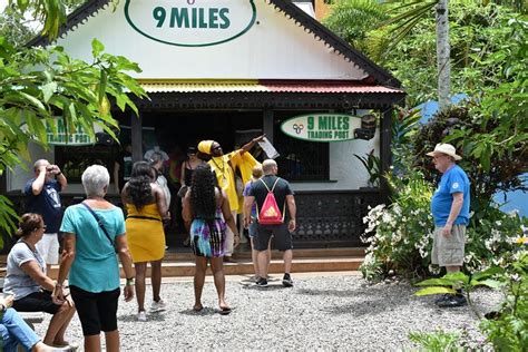 Bob Marleys Nine Mile Day Trip With Admission And Guided Tour From