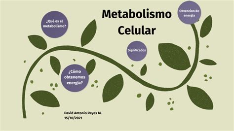 Metabolismo Celular By David Antonio Reyes Miramontes On Prezi