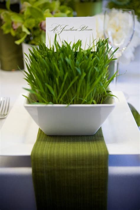 Timeless Treasures â Unique Favors And Ts For All Occasions Wheat Grass Wheat Grass