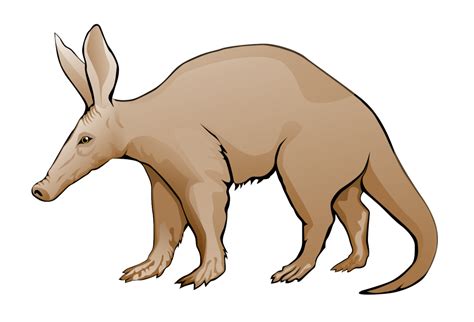 Aardvarks Clipart 21 Free Cliparts Download Images On Clipground 2024