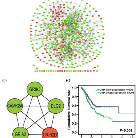 Interaction Networks Of The Degs A Protein Protein Interaction Ppi