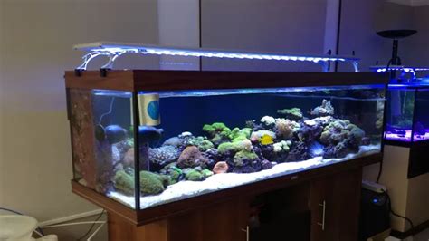 How To Choose Led Aquarium Lights A Comprehensive Guide For Beginners