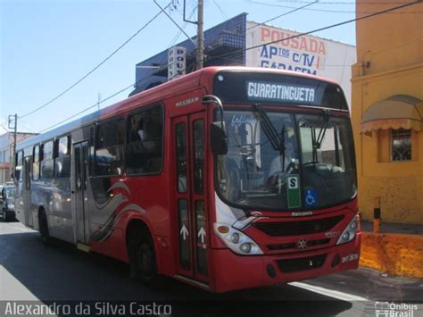 Empresa De Nibus P Ssaro Marron Em Aparecida Por Alexandro Da