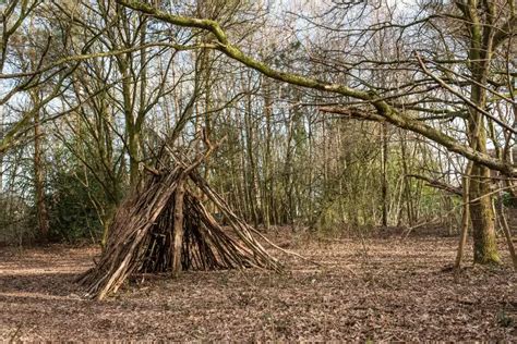 Feuer Machen Ohne Streichholz Und Feuerzeug Tipps Und Tricks