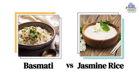 What Is The Difference Between Jasmine And Basmati Rice 42 OFF