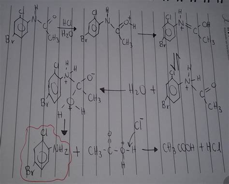 What Is The Mechanism For 4 Bromo 2 Chloroaniline From 4 Bromo 2