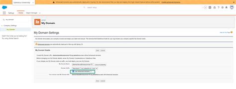 Salesforce Enhanced Domains Requirement Elements