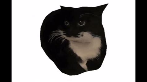 Maxwell Cat Music Recreation Fl Studio 21 Youtube