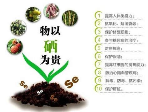 硒原料真的抗癌，你不得不信！ 提高免疫力 化疗后吃什么恢复快 硒旺纳米硒 补硒胶囊 纳米硒 上海四通纳米技术港官网