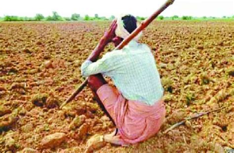 15 Lakh Farmer Of Mp Get Relief Rs Of 2990 Crore Of Insurance Mp के