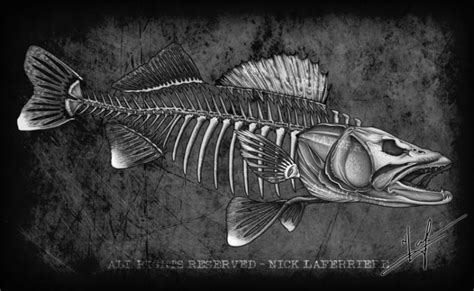 Skull Art Nick Laferriere Page 3 Skull Art Fish Drawings Walleye