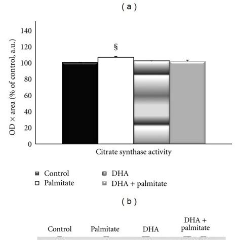 (a) Protein expression of peroxisome proliferator-activated receptor ... 