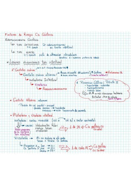 Factores De Riesgo Para Cancer G Strico Resumen M Dico Udocz