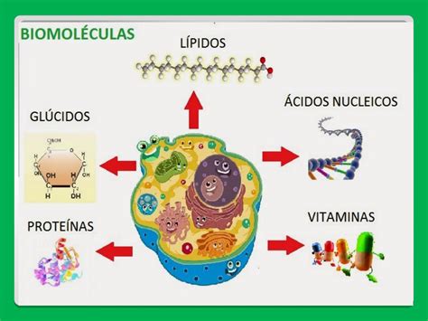 Biologia