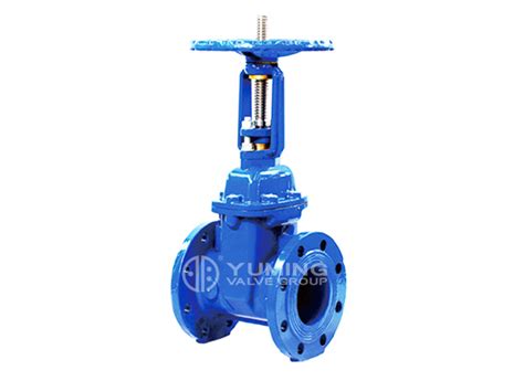 Bs5163 Resilient Seat Gate Valve Yuming