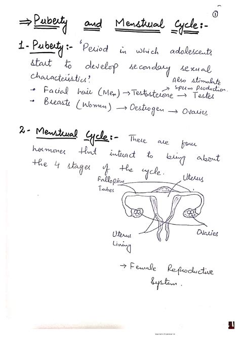 Solution Puberty And Menstrual Cycle Studypool