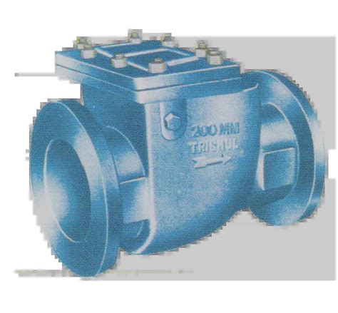 Non Return Valves Trishul Valves