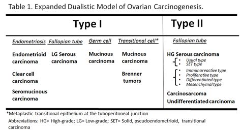 Ovarian Cancer Spore — Gynecologic Disease Laboratory