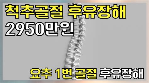 요추 1번 척추 골절 후유장해 보험금 2950만 원 Youtube