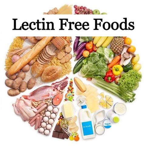 Lectin Free Foods — Life Wellness Forever Edceum Medium