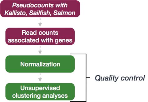 Qc Methods For De Analysis Using Deseq Introduction To Dge