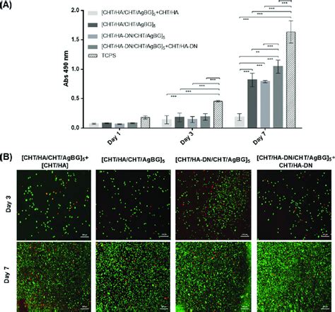 L929 Viability Results Obtained Through A Mts Assay For 1 3 And 7