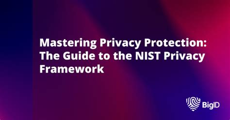 Mastering Privacy Protection Bigid